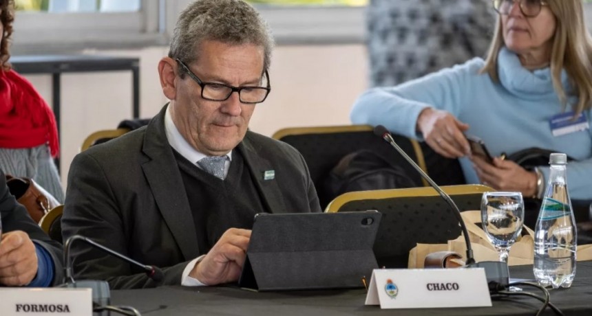 Post&iacute;tulos truchos: Educaci&oacute;n pidi&oacute; ser querellante