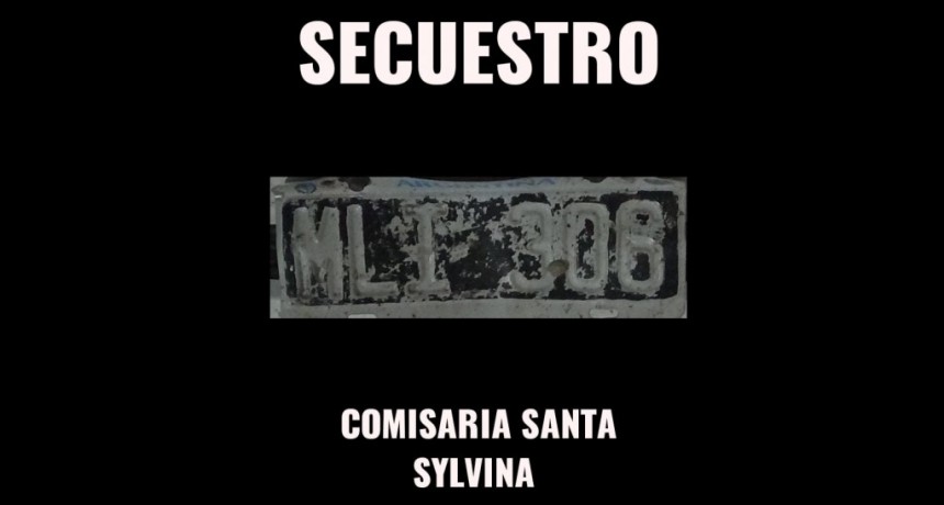Santa Sylvina: SUSTRA&Iacute;A PATENTES Y FUE DETENIDO