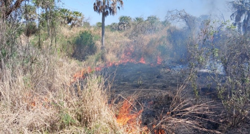 Enrique Urien: INCENDIO DE PASTIZALES EN RUTA N&deg; 13 PRODUJO EL ARRIBO DE LOS BOMBEROS
