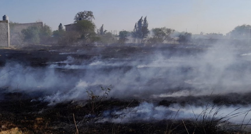 Villa &Aacute;ngela: FAMILIA LLAM&Oacute; A LOS BOMBEROS POR INCENDIO DE PASTIZALES EN CALLES SARMIENTO Y ANSELMO WENK