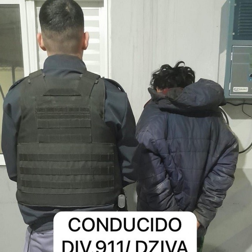 Villa &Aacute;ngela: Detienen a un masculino de 35 a&ntilde;os que intent&oacute; robar en un local de ventas de repuestos 