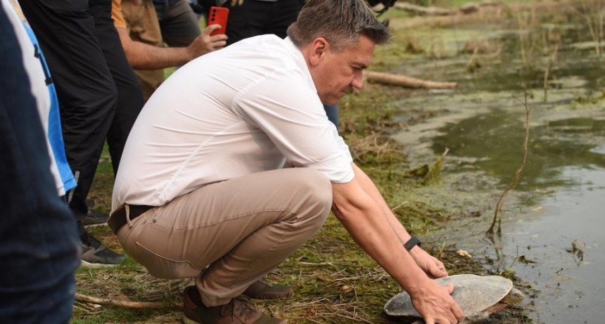 EL GOBERNADOR ZDERO ACOMPA&Ntilde;&Oacute; LA LIBERACI&Oacute;N DE ANIMALES QUE FUERON RESCATADOS DEL TR&Aacute;FICO ILEGAL Y DE ACCIDENTES