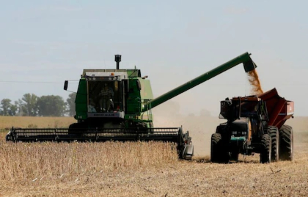 PARA AUMENTAR LA OFERTA DE DÓLARES, NO HABRÁ RETENCIONES A LIS GRANOS HASTA EL 31 DE OCTUBRE 