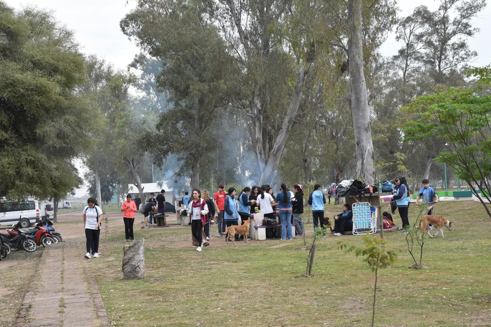 JORNADA RECREATIVA EN EL CAMPING MUNICIPAL: INSTITUCIONES DE LA LOCALIDAD CELEBRAN EL D&Iacute;A DEL ESTUDIANTE Y LA PRIMAVERA