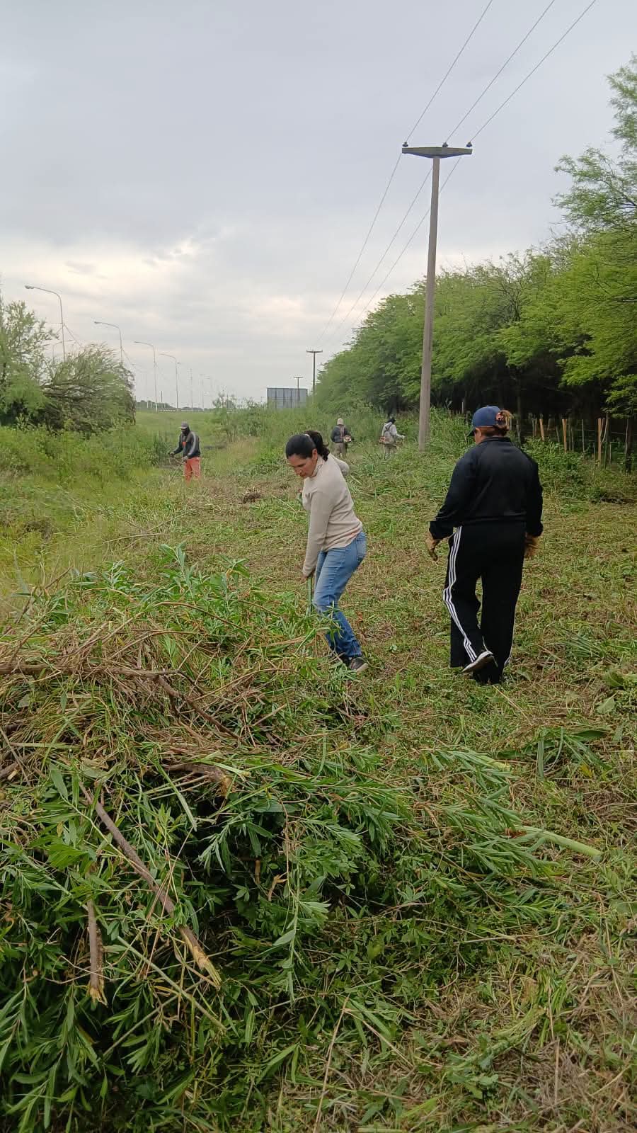 PARQUIZADO Y ARBOLADO URBANO MUNICIPAL REALIZA TRABAJOS DE MANTENIMEINTO EN LAS AVENIDAS Y ACCESO