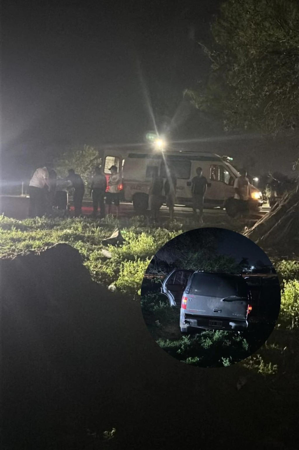 VILLA &Aacute;NGELA: UNA MUJER RESULT&Oacute; HERIDA TRAS CHOCAR CONTRA UN &Aacute;RBOL SOBRE LA RUTA 95