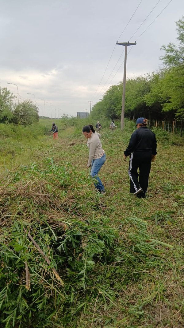 PARQUIZADO Y ARBOLADO URBANO MUNICIPAL REALIZA TRABAJOS DE MANTENIMEINTO EN LAS AVENIDAS Y ACCESO