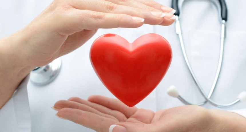 Promulgaci&oacute;n de la Ley de Ense&ntilde;anza de los Principios de la Salud La ley nacional N&deg; 115.767 de ense&ntilde;anza de los principios de la salud . 