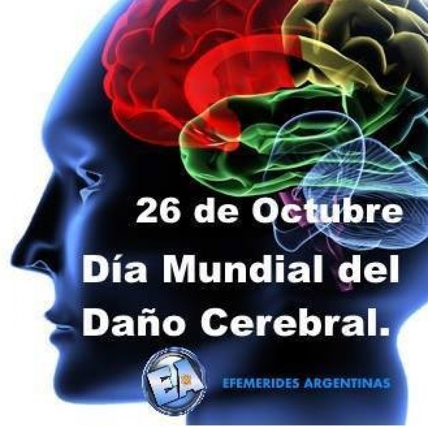 D&Iacute;A DEL DA&Ntilde;O CEREBRAL 