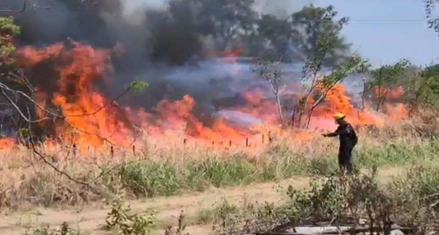 Incendios en Chaco: "Hay m&aacute;s de 2 mil focos y 70 mil hect&aacute;reas afectadas"