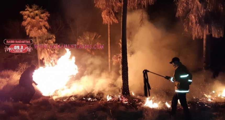 Enrique Urien: PARAJE LA VIRUELA | INCENDIOS AFECTARON 900 HECT&Aacute;REAS DE TERRENO Y 200 HECT&Aacute;REAS DE UN CAMPO PRIVADO