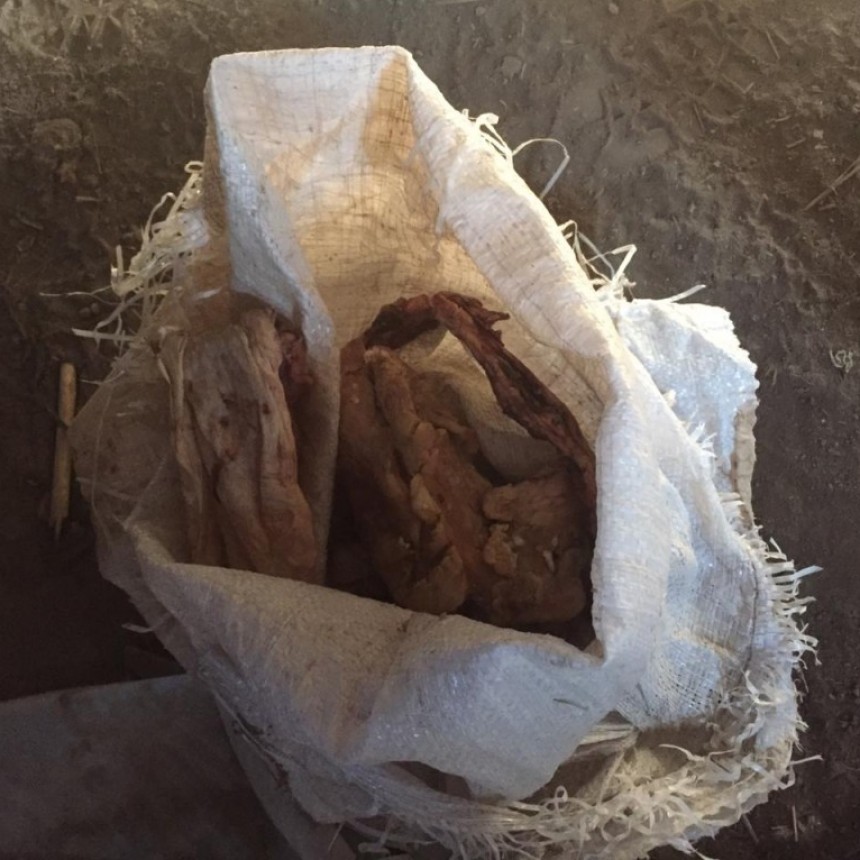 Chorotis: TRAS UN ALLANAMIENTO DE 12 HS. SECUESTRARON 8 ANIMALES VACUNOS