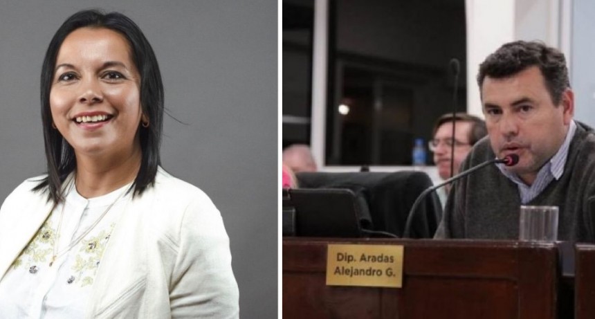 DENUNCIA PENAL CONTRA EL DIPUTADO ARADAS POR PONER EN RIESGO LA INTEGRIDAD F&Iacute;SICA DE LILIANA PASCUA