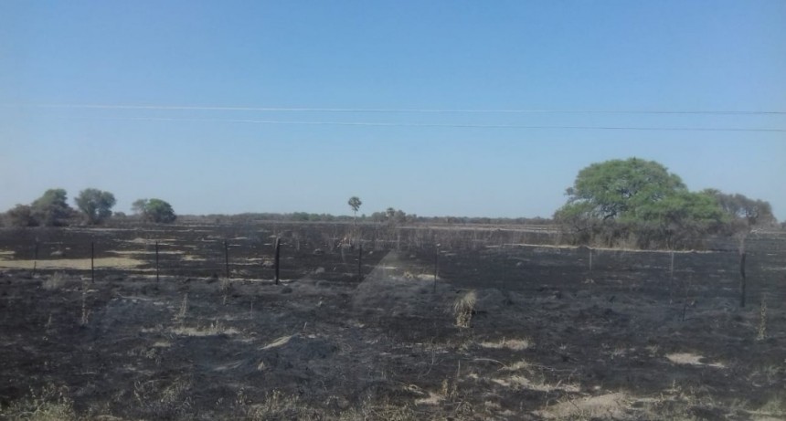 Enrique Urien | Destacamento "La Viruela": UN INCENDIO CONSUMI&Oacute; 1500 HECT&Aacute;REAS DE PASTIZAL Y 500 MTS. DE POSTES Y CABLES EN UN ESTABLECIMIENTO DE LA ZONA