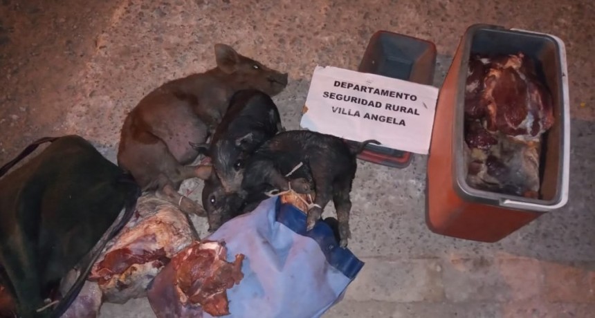 Villa &Aacute;ngela: EL DESTACAMENTO APOSTADO EN EL CAMINO A LOS GANSOS, DETIENE UN VEH&Iacute;CULO Y SECUESTRA CARNE BOVINA Y PORCINA DE DUDOSA PROCEDENCIA.