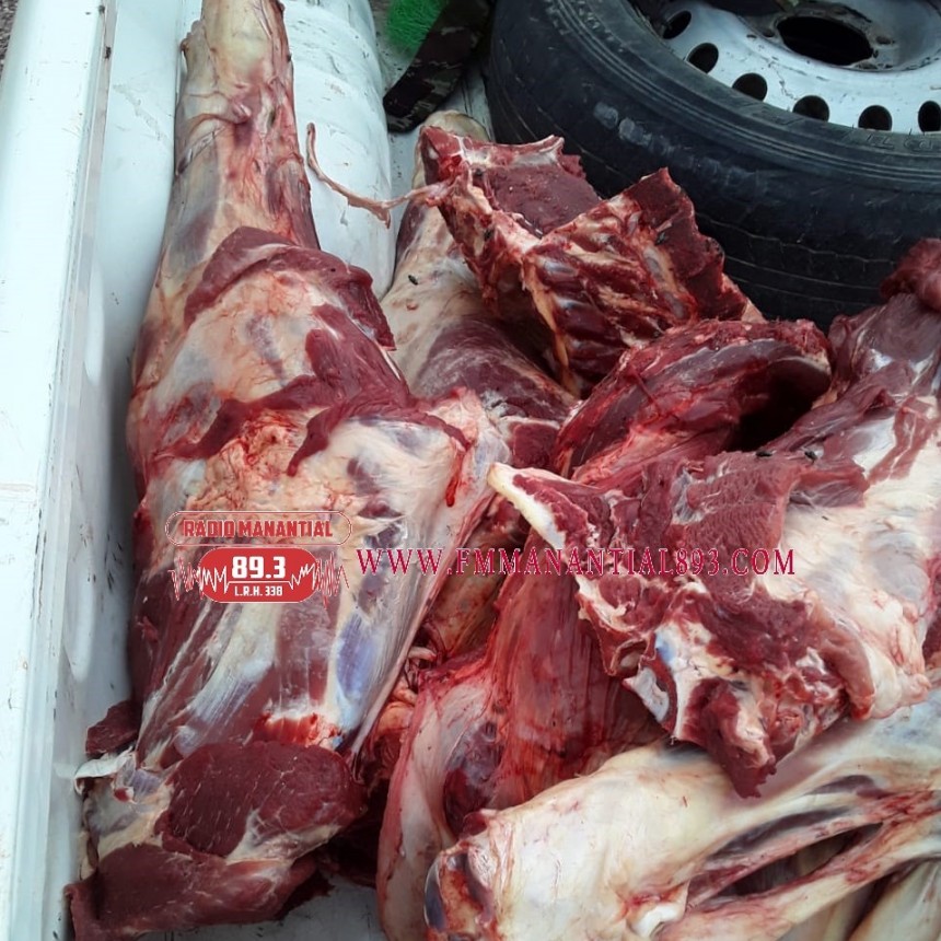 SECUESTRO DE CARNE FAENADA DE MANERA CLANDESTINA EN SAN BERNARDO 