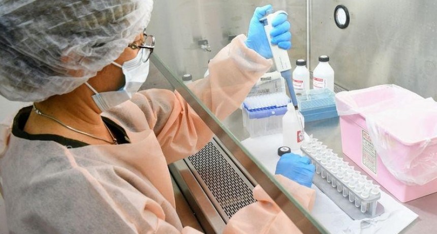 Coronavirus en el Chaco: reportan 11 nuevos casos y una muerte m&aacute;s