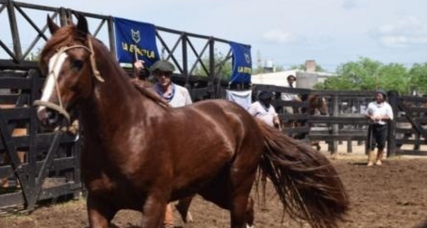 Producci&oacute;n convoca a las Terceras Jornadas Equinas en Margarita Bel&eacute;n