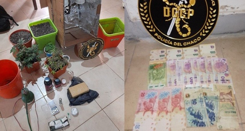 S&aacute;enz Pe&ntilde;a:  Allanaron un "b&uacute;nker" de venta de marihuana e invernadero: un estudiante de 22 a&ntilde;os fue detenido