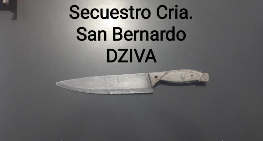 San Bernardo: DISCUTI&Oacute; CON EL SOBRINO Y &Eacute;STE LO HIRI&Oacute; CON UN CUCHILLO