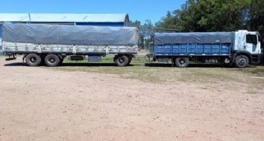SANTA SYLVINA: INTENT&Oacute; BURLAR EL CONTROL OCULTANDO BOLSAS DE CARB&Oacute;N BAJO LA LE&Ntilde;A