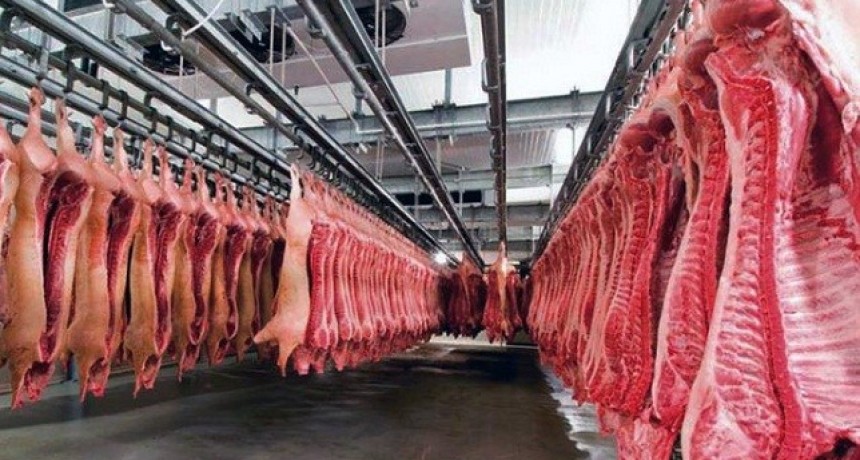 PESE A LAS RESTRICCIONES, LAS EXPORTACIONES DE CARNE CRECIERON 24,7 