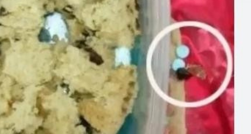 CRIMEN DE CECILIA STRZYZOWSKI: QUISIERON PASARLE SEDANTES A MARCELA ACU&Ntilde;A EN UN PAN DULCE