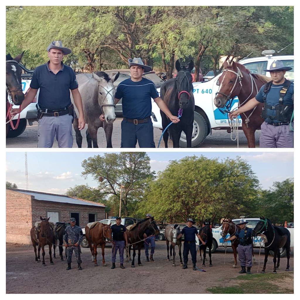 Villa &Aacute;ngela: SECUESTRO DE ANIMALES POR &ldquo;CARRERAS CLANDESTINAS&rdquo;