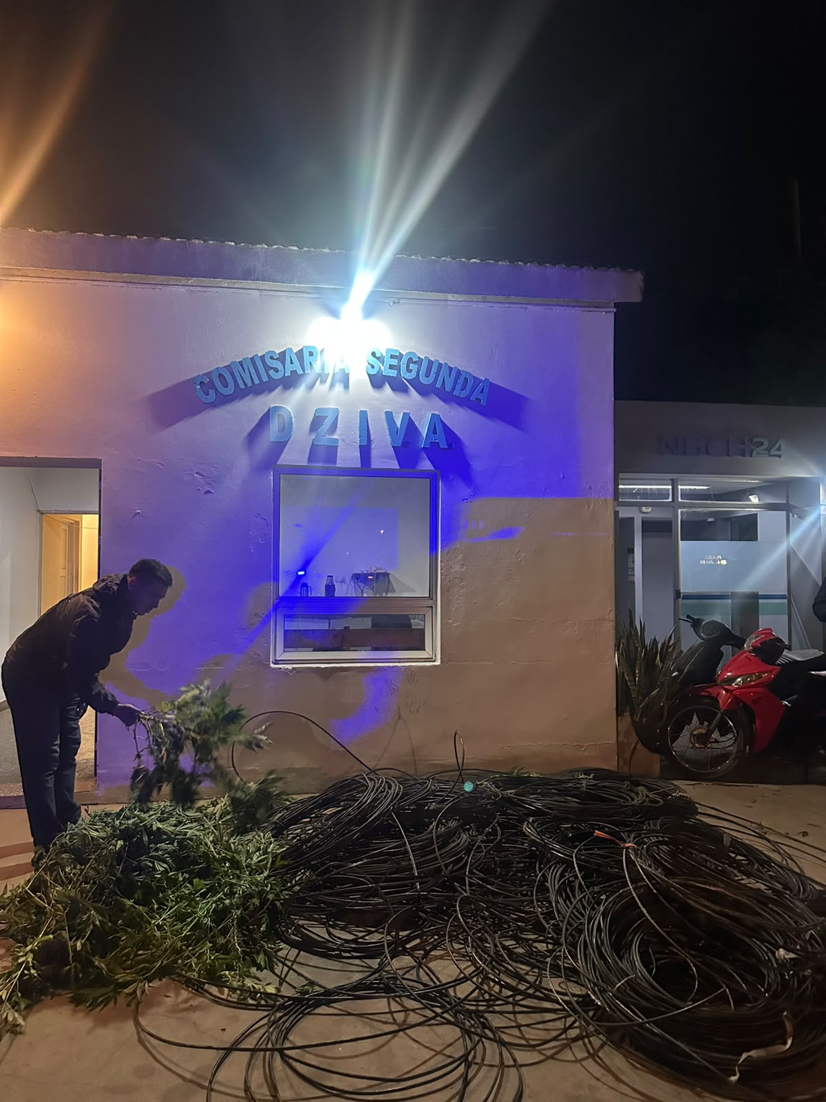 Villa &Aacute;ngela: SECUESTRARON 137 PLANTAS DE MARIHUANA Y 18 ROLLOS DE CABLE