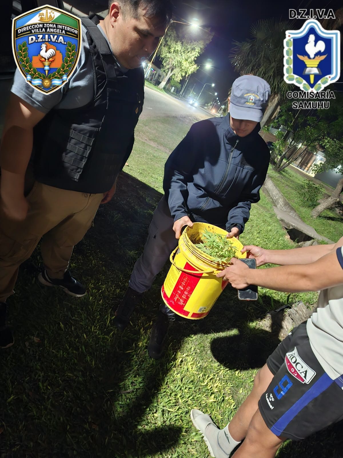 SAMUH&Uacute;: SECUESTRARON UN PLANT&Iacute;N DE PRESUNTA MARIHUANA EN UNA VIVIENDA