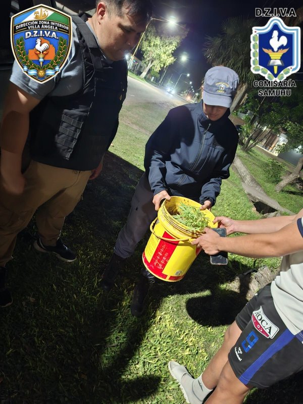 SAMUH&Uacute;: SECUESTRARON UN PLANT&Iacute;N DE PRESUNTA MARIHUANA EN UNA VIVIENDA