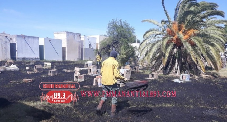 Villa &Aacute;ngela: UN NUEVO INCENDIO EN EL CEMENTERIO LOCAL CONSUME 3 HECTAREAS DE TERRENO