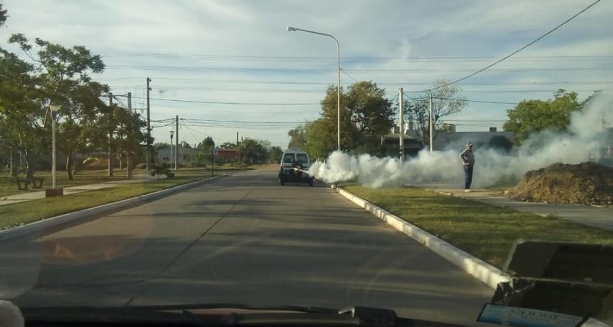 Villa &Aacute;ngela: EL MUNICIPIO REALIZA TAREAS DE DESINFECCI&Oacute;N POR COVID-19 Y FUMIGACIONES PREVENTIVAS POR DENGUE