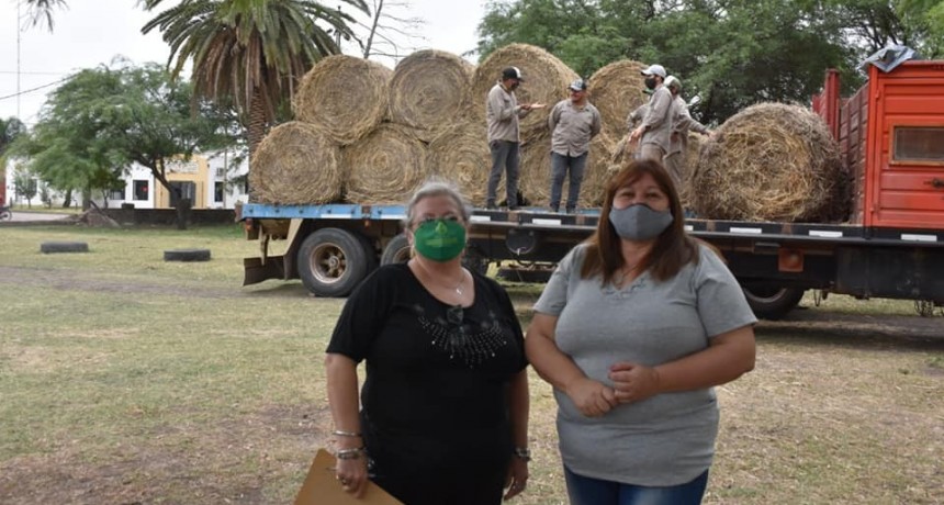 Villa &Aacute;ngela: LA MUNICIPALIDAD REALIZ&Oacute; ENTREGA DE ROLLOS DE PASTURA A PEQUE&Ntilde;OS PRODUCTORES