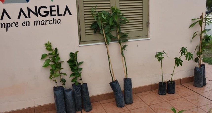 Villa &aacute;ngela: EL MUNICIPIO LLEV&Oacute; A CABO LA 18&deg; ENTREGA DE PLANTINES FRUTALES