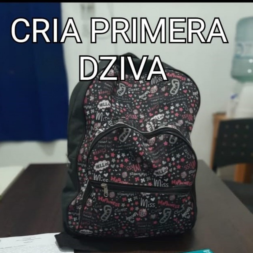 Villa &Aacute;ngela: SU EX PAREJA LE ROB&Oacute; LA MOCHILA, LO DENUNCI&Oacute;, Y &Eacute;STE LUEGO SE LA DEJ&Oacute; EN EL PATIO DE LA CASA