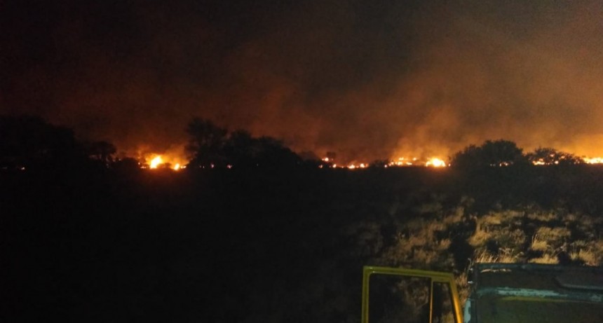 Enrique Urien: SE INCENDIARON 150 HECT&Aacute;REAS DE CAMPO EL LOTE 23