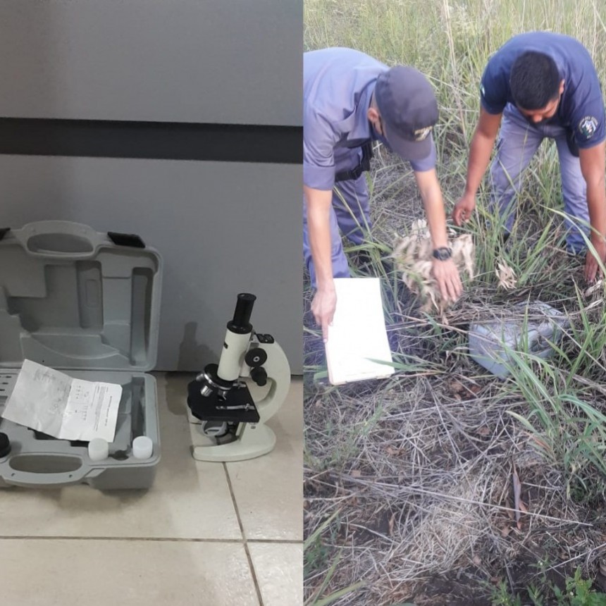 PERSONAL POLICIAL DE SAN BERNARDO LOGRA RECUPERAR UN MICROSCOPIO DE ALTO VALOR A LOS MINUTOS DE SER SUSTRAIDO DE UNA ESCUELA RURAL