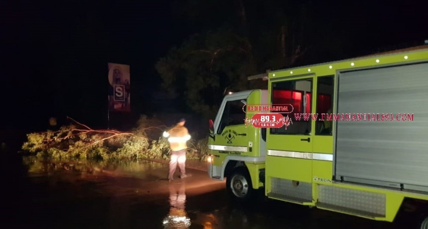 Villa &Aacute;ngela:  LA TORMETA DEL FIN DE SEMANA DEJ&Oacute; DESTROZOS A SU PASO