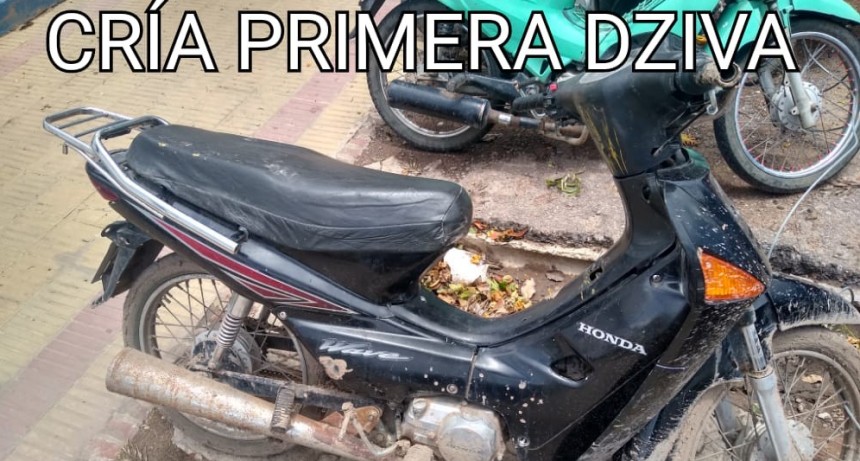 Villa &Aacute;ngela: EL PERSONAL POLICIAL DETIENE AL SUPUESTO AUTOR DEL ROBO DE UN CELULAR QUIEN TRAS EL ROBO SE ARREPINTI&Oacute; Y DEJ&Oacute; EL TEL&Eacute;FONO EN EL DOMICILIO LINDANTE
