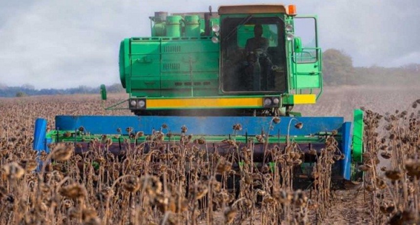 Nueva Campa&ntilde;a: EL GIRASOL RECUPERA TERRENO Y PROYECTA EXPORTACIONES POR US$ 1.200 MILLONES 