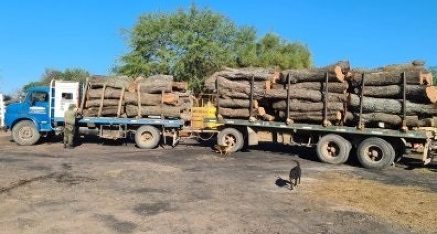 Pinedo: TEN&Iacute;A LA GU&Iacute;A FORESTAL, PERO NO COINCID&Iacute;A CON EL DESTINO