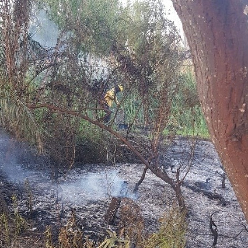 VILLA &Aacute;NGELA: Un Incendio de Pastizales Afecto 400 m? de la Superficie de un Terreno 