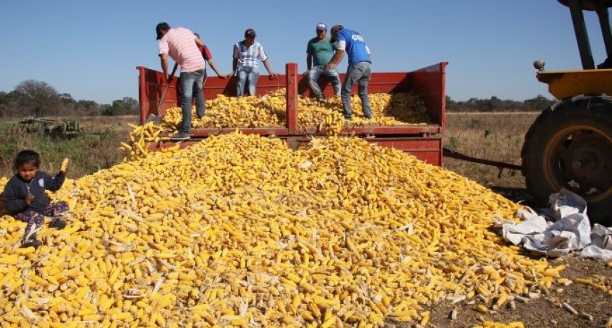 El Gobierno nacional destinar&aacute; $15.000 millones para subsidiar a productores de soja y ma&iacute;z