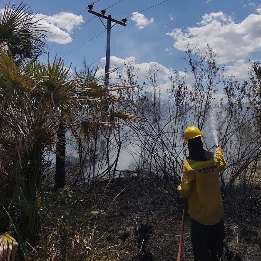 VILLA &Aacute;NGELA: BOMBEROS LOGRARON EXTINGUIR UN INCENDIO DE PASTIZALES SOBRE RUTA PROVINCIAL N&ordm;13