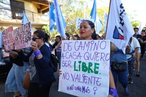 Organizaciones feministas marcharon por el Día Internacional contra la Violencia