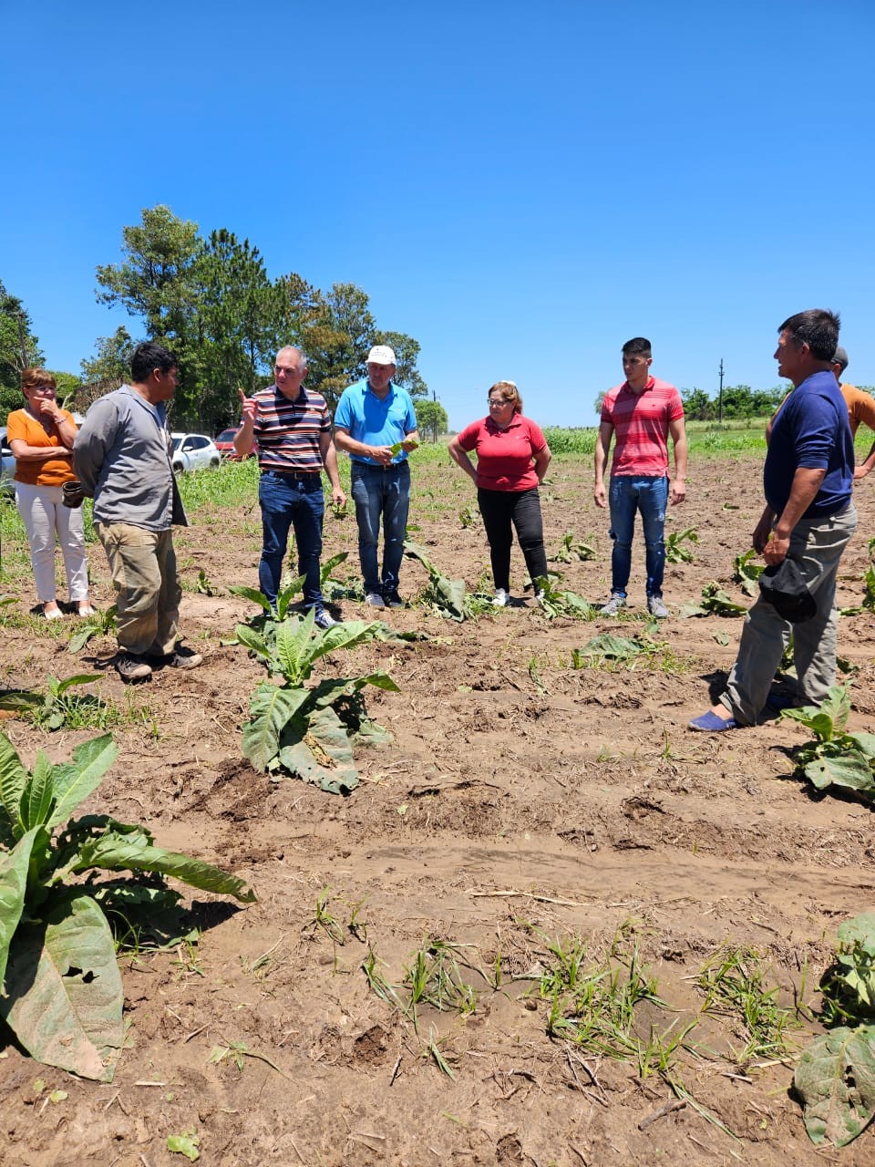 PRODUCCIÓN EVALÚA DAÑOS POR GRANIZO EN CULTIVOS E INFRAESTRUCTURA