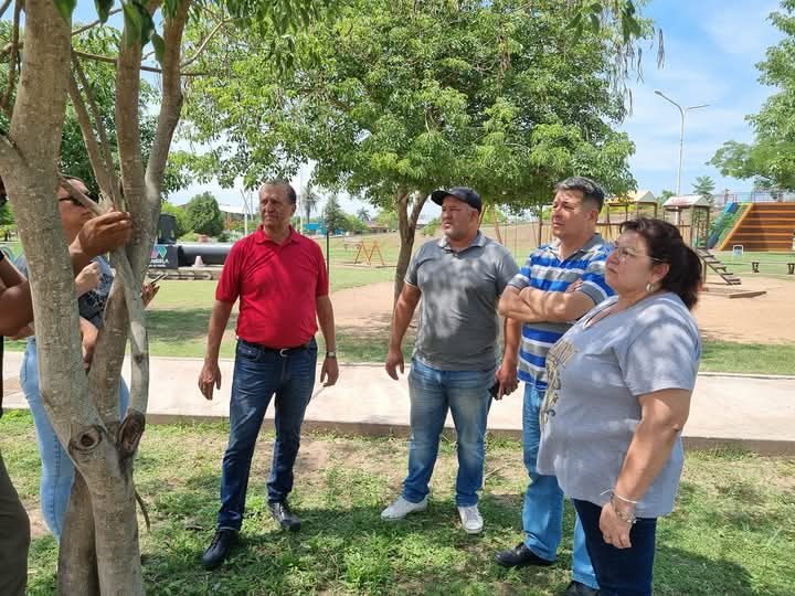 LA MUNICIPALIDAD DE VILLA ÁNGELA ANUNCIA EL ARMADO DEL ÁRBOL GIGANTE DE NAVIDAD EN EL PARQUE DEL CENTENARIO