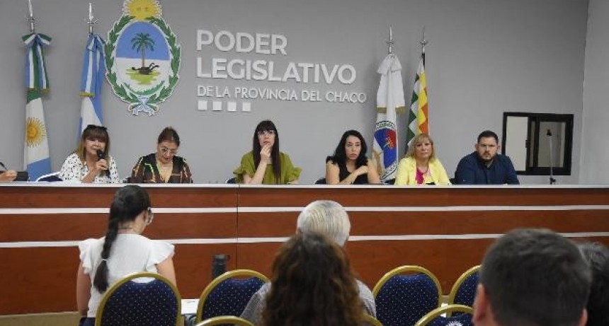 CONTIN&Uacute;A EL AN&Aacute;LISIS EN LA LEGISLATURA DEL PROYECTO DE LEY PARA GARANTIZAR DERECHOS A LOS ADULTOS MAYORES