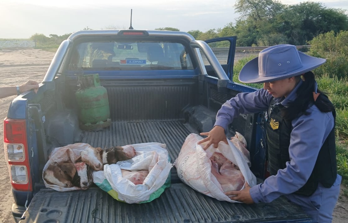 Villa Ángela: INCAUTARON CARNE SIN CADENA DE FRÍO DURANTE OPERATIVO RURAL